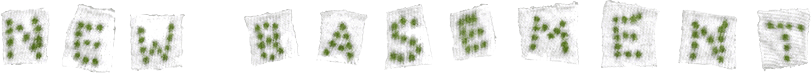 New Basement